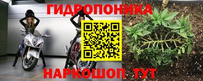 наркотики Новодвинск
