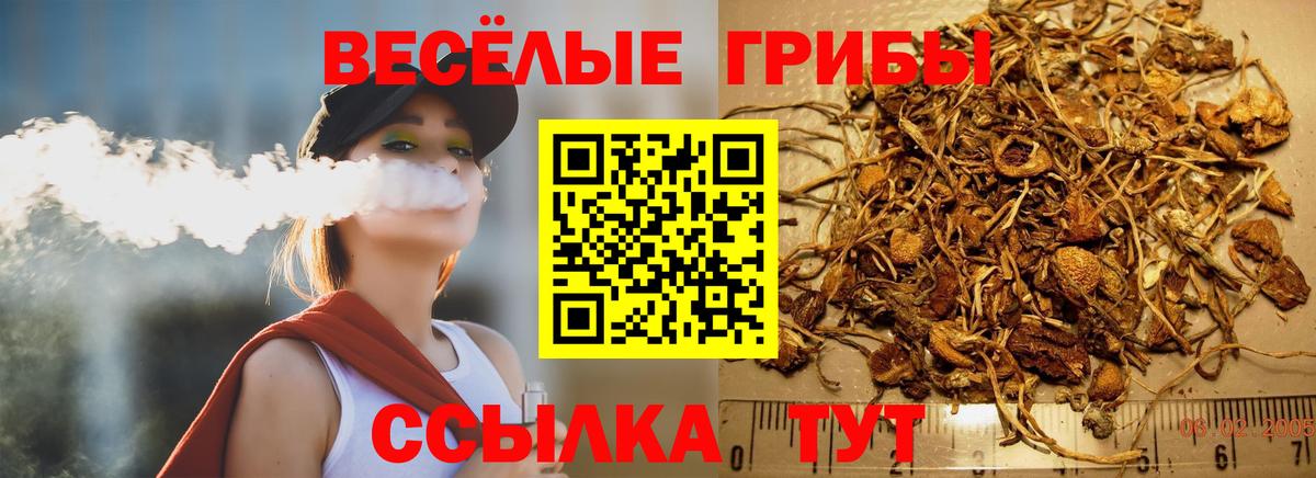 Галлюциногенные грибы прущие грибы Тулун