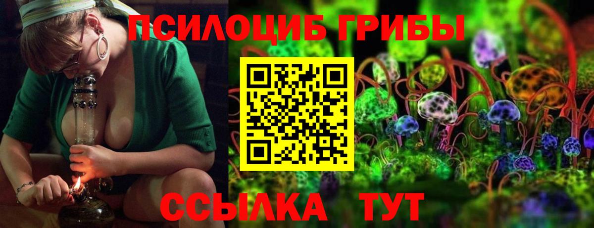 Тулун  Галлюциногенные грибы Magic Shrooms  Вход с VPN 